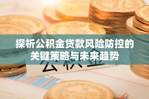 秀屿探析公积金贷款风险防控的关键策略与未来趋势