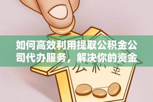 秀屿如何高效利用提取公积金公司代办服务，解决你的资金难题
