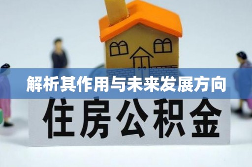 秀屿解析其作用与未来发展方向