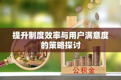 秀屿提升制度效率与用户满意度的策略探讨